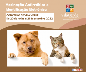 Vacinação Antirrábica e Identificação Eletrónica de cães e gatos